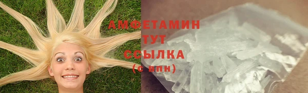 ПСИЛОЦИБИНОВЫЕ ГРИБЫ Алзамай