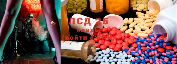 трава Абаза