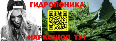стафф Пыть-Ях