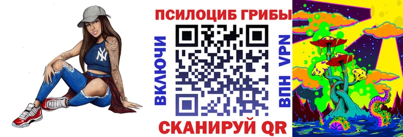 Псилоцибиновые грибы Psilocybine cubensis  omg как зайти  Электросталь 