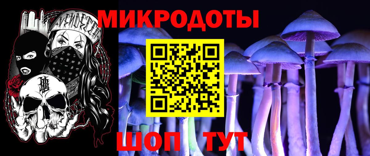 Псилоцибиновые грибы Magic Shrooms  Псилоцибиновые грибы мицелий  Электросталь  Вход с VPN 